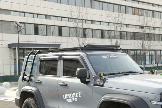 Kit de adaptação de escada de lado negro para tanque 300 personalizado