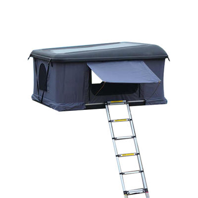 Todos os Tempos Telhado Telhado Automóvel Poliéster Telhado Telhado e Telhado